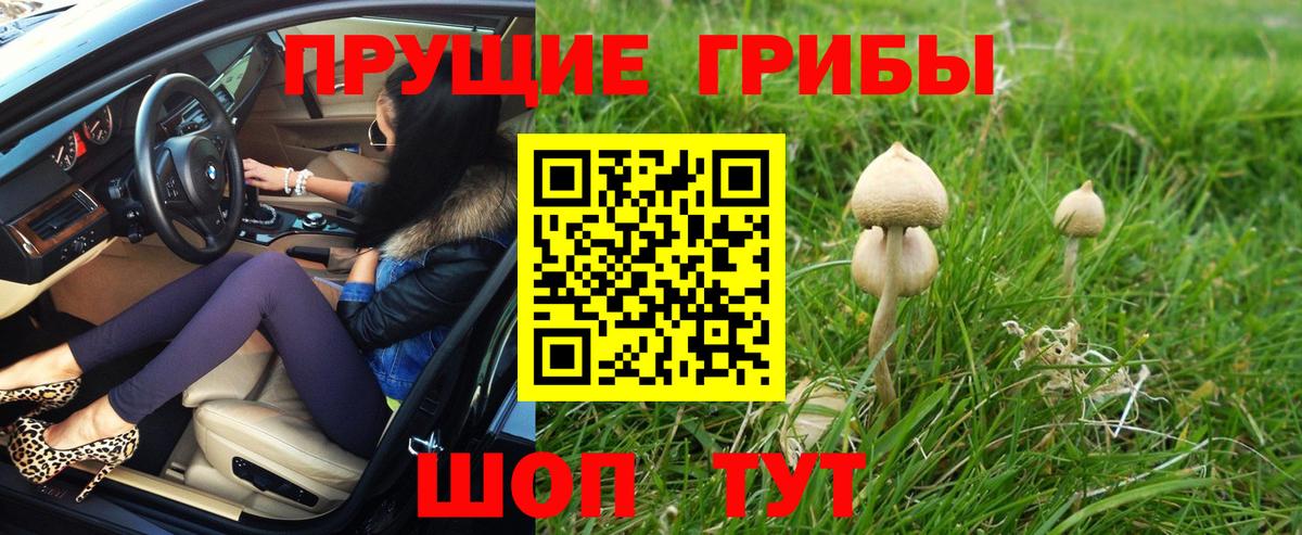 Галлюциногенные грибы мухоморы  Псилоцибиновые грибы прущие грибы  Бердск  как найти наркотики  Вход с VPN 